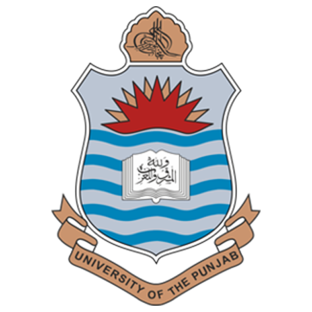 Punjan University
